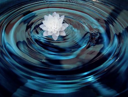 Теплая вода очищает наше тело, холодная - разум, а контрастный душ активизирует энергетические потоки. kak rabotaet mantra
